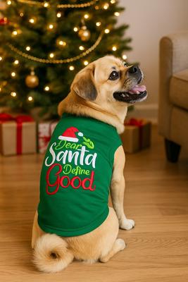 Show full view: Parisian Pet Dear Santa Define Good Embroidered Holiday Dog Tee, Large slide 4 of 5