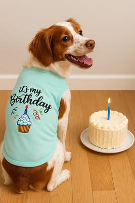 Show full view: Parisian Pet Birthday Boy Embroidered Cotton Dog T-Shirt, Blue, Medium slide 4 of 6