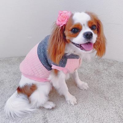Show full view: Parisian Pet Fancy Flower Quilted Jacket Floral Coat for Dogs & Cats, Pink, Large slide 4 of 5