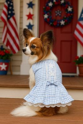 Show full view: Parisian Pet Gingham Countryside Lace Dress Plaid & Lace Dog Outfit, Blue, XX-Large slide 4 of 5