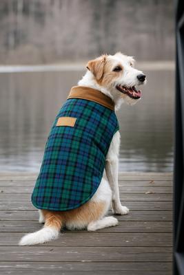 Show full view: Parisian Pet Scottish Taffeta Tuxedo Plaid Dog & Cat Jacket, Green & Blue, Small slide 4 of 5