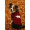 Show in main carousel: Parisian Pet Buffalo Checkered Sweater Dog Knit with Polar Bear, Red & Black, Medium slide 4 of 5