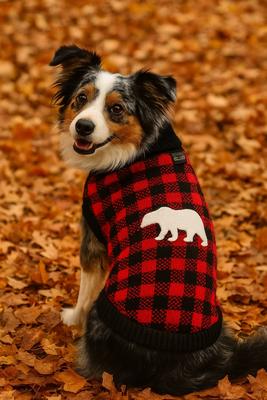 Show full view: Parisian Pet Buffalo Checkered Sweater Dog Knit with Polar Bear, Red & Black, Medium slide 4 of 5