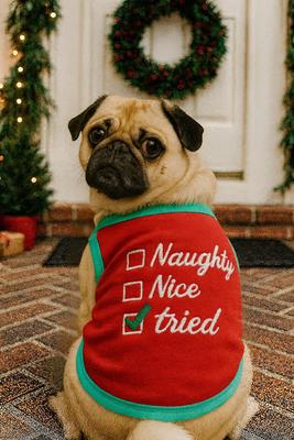 Show full view: Parisian Pet Naughty or Nice Embroidered Christmas Dog & Cat Tee, Red, XX-Small slide 4 of 6