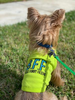 Show full view: Parisian Pet BFF Embroidered Cotton Best Furry Friend Dog T-Shirt, Green, Small slide 4 of 5