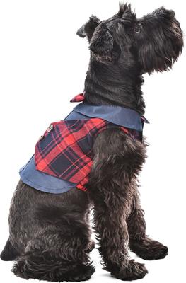 Show full view: Parisian Pet Scottish Pleated Tuxedo Plaid Formal Dog Jacket, Red & Blue, X-Large slide 4 of 5