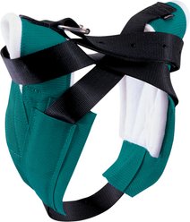 Weaver Equine Super 8 Horse Horn Wrap, Teal