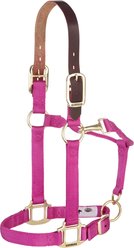 Weaver Equine Breakaway Original Adjustable Chin & Throat Snap Horse Halter, Raspberry, Small