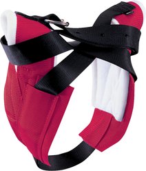 Weaver Equine Super 8 Horse Horn Wrap, Red