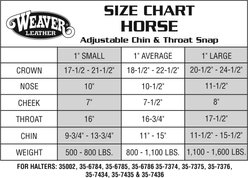 Weaver Equine Hurricane Blue Patterned Adjustable Horse Halter slide 2 of 3