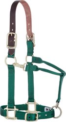 Weaver Equine Breakaway Original Adjustable Chin & Throat Snap Horse Halter, Hunter Green, Average