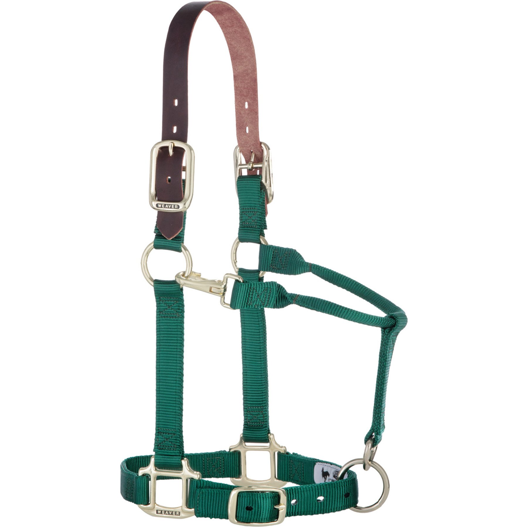 Weaver Equine Breakaway Original Adjustable Chin & Throat Snap Horse Halter, Hunter Green, Average