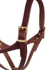 Weaver Equine Figure 8 Horse Halter, Oiled Canyon Rose, Foal/Suckling slide 2 of 5