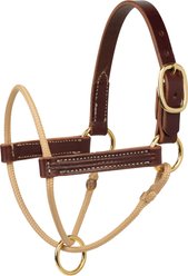 Weaver Equine Kalley Krickeberg Foal Horseman's Halter, Rich Brown/Tan, Foal