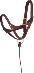 Weaver Equine Figure 8 Horse Halter, Oiled Canyon Rose, Foal/Suckling