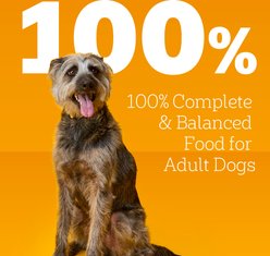 Pedigree Chopped Ground Dinner Variety Pack Chicken, Filet Mignon & Beef Adult Wet Dog Food, 3.5-oz pouch, case of 18 slide 2 of 9