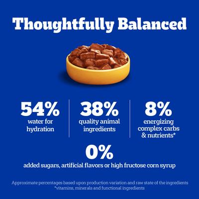 Show full view: Pedigree Choice Cuts In Gravy with Beef Canned Soft Wet Dog Food, 22-oz, case of 12 slide 10 of 12