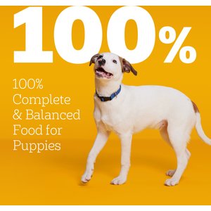 Pedigree Puppy Variety Pack Wet Dog Food, 3.5-oz pouch, pack of 18