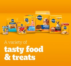 Pedigree Choice Cuts in Gravy Variety Pack Adult Wet Dog Food, 3.5-oz pouch, case of 30 slide 2 of 9