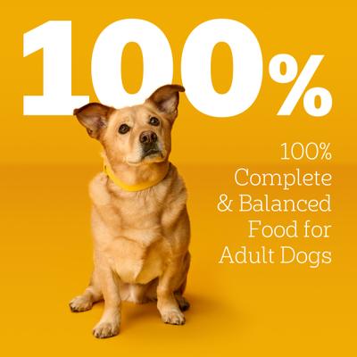 Show full view: Pedigree Choice Cuts Variety Pack with Beef, Chicken & Filet Mignon Adult Wet Dog Food, 3.5-oz pouch, case of 18 slide 6 of 11