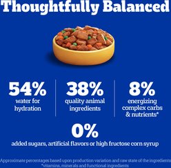 Pedigree Choice Cuts in Gravy Country Stew Adult Canned Wet Dog Food, 13.2-oz, case of 12 slide 2 of 9