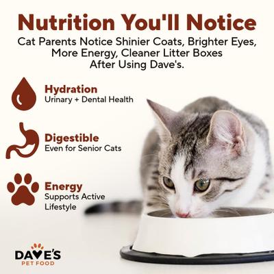 Show full view: Dave's Pet Food Naturally Healthy Gobblicious Gourmet Grain-Free Pate Wet Canned Cat Food, 13-oz can, case of 12 slide 5 of 11