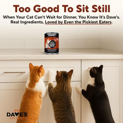 Show full view: Dave's Pet Food Naturally Healthy Gobblicious Gourmet Grain-Free Pate Wet Canned Cat Food, 13-oz can, case of 12 slide 6 of 11