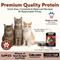 Show in main carousel: Dave's Pet Food Naturally Healthy Gobblicious Gourmet Grain-Free Pate Wet Canned Cat Food, 13-oz can, case of 12 slide 3 of 11