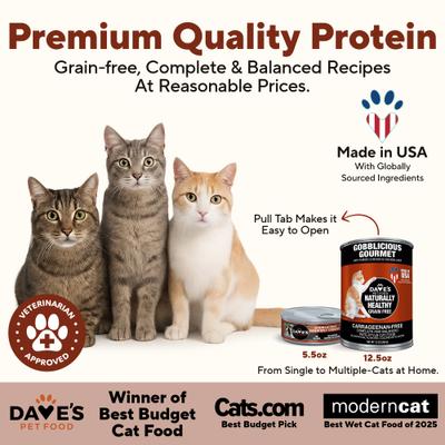 Show full view: Dave's Pet Food Naturally Healthy Gobblicious Gourmet Grain-Free Pate Wet Canned Cat Food, 13-oz can, case of 12 slide 3 of 11