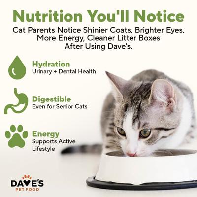 Show full view: Dave's Pet Food Naturally Healthy Farmyard Fowl Chicken & Duck Recipe Grain-Free Canned Wet Cat Food, 5.5-oz can, case of 24 slide 5 of 12