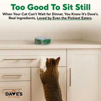 Show full view: Dave's Pet Food 95% Chicken & Chicken Liver Pate Limited Ingredient Grain-Free Canned Wet Cat Food, 5.5-oz, case of 24 slide 6 of 12