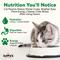 Show in main carousel: Dave's Pet Food 95% Chicken & Chicken Liver Pate Limited Ingredient Grain-Free Canned Wet Cat Food, 5.5-oz, case of 24 slide 5 of 12