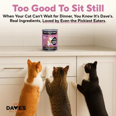 Show full view: Dave's Pet Food Naturally Healthy Grain-Free Beef & Chicken Dinner Pate Canned Wet Cat Food, 12.5-oz, case of 12 slide 6 of 12