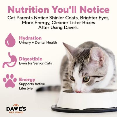 Show full view: Dave's Pet Food Naturally Healthy Grain-Free Beef & Chicken Dinner Pate Canned Wet Cat Food, 12.5-oz, case of 12 slide 5 of 12