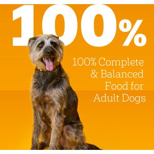 Pedigree Choice Cuts In Gravy Beef & Country Stew Adult Canned Wet Dog Food Variety Pack, 13.2-oz can, case of 12