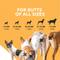 Show in main carousel: Nutramax Filaquin Anal Gland & Digestive Health Peanut Butter Flavored Soft Chew Supplement for Dogs, 90 count slide 9 of 13