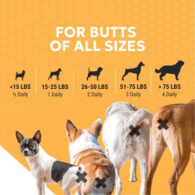 Show full view: Nutramax Filaquin Anal Gland & Digestive Health Peanut Butter Flavored Soft Chew Supplement for Dogs, 90 count slide 9 of 13