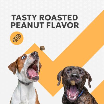 Show full view: Nutramax Filaquin Anal Gland & Digestive Health Peanut Butter Flavored Soft Chew Supplement for Dogs, 90 count slide 7 of 13