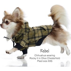 Pet Passion Rocky II Extra Comfy Plaid Dog Hoodie, Olive Chesterfield, Medium
