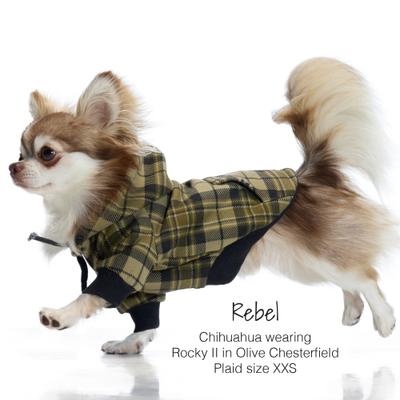 Show full view: Pet Passion Rocky II Extra Comfy Plaid Dog Hoodie, Olive Chesterfield, Medium slide 5 of 8