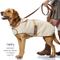 Show in main carousel: Pet Passion Aspen The Cozy Sherpa Vegan Shearling Dog Coat, Camel, X-Small slide 6 of 10