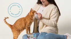 VetIQ Chicken Flavored Chew Calming Supplement for Cats, 3.7-oz bag slide 2 of 9