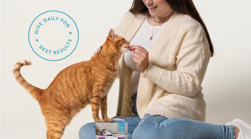 Show full view: VetIQ Chicken Flavored Chew Calming Supplement for Cats, 3.7-oz bag slide 3 of 11