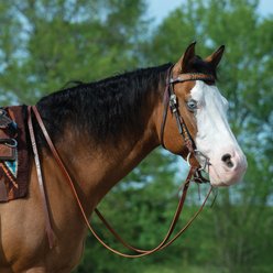Weaver Equine Turquoise Cross Skirting Leather Split Horse Reins, Dark Oiled slide 2 of 7