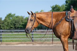 Weaver Equine Turquoise Cross Skirting Leather Horse Browband Headstall, Dark Oiled slide 2 of 9