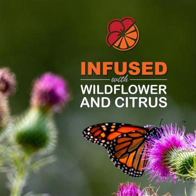 Show full view: Sweet-Nectar Ready To Use Butterfly Food, Clear, 25.3-fl oz bottle slide 4 of 8