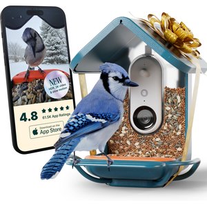 Bird Buddy PRO Solar Smart Bird Feeder with Camera & Perch Extender, Blue