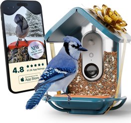 Bird Buddy PRO Solar Smart Bird Feeder with Camera & Perch Extender, Blue