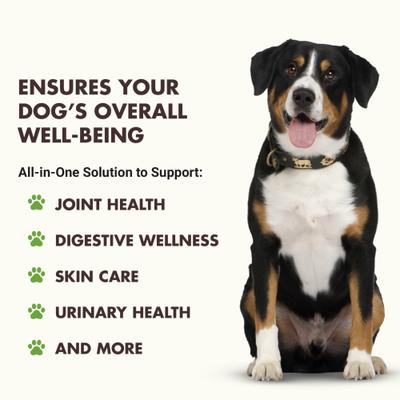 Show full view: Liquid-Vet K9 Total & Complete Pot Roast Beef Flavored Multi-Purpose Liquid Supplement for Dogs, 32-fl oz slide 3 of 9