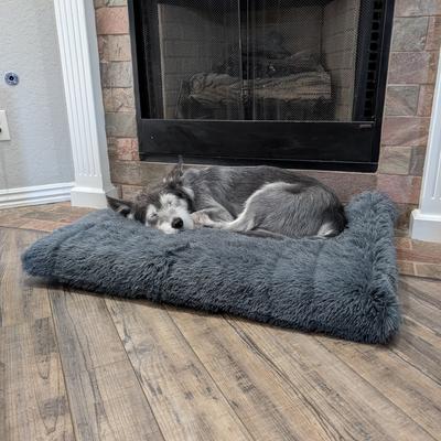 Show full view: Dig Defence Dog Bed, Gray, X-Large slide 3 of 8